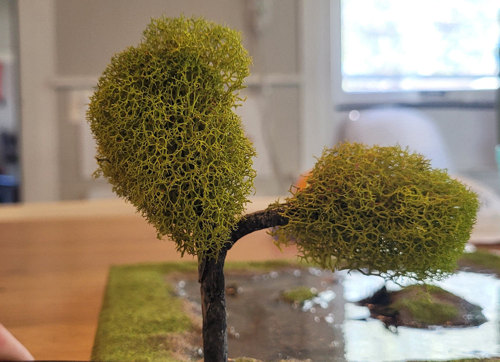 Your First Tree