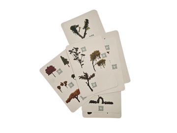 How-to Cards