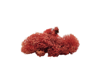 Amaranth