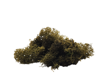 Rifle Green