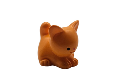 Kitten