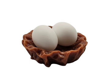 Nest and Eggs