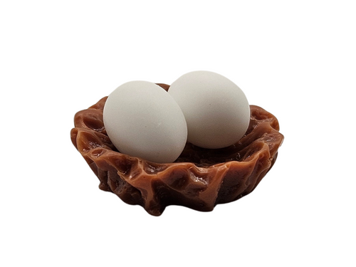 Nest and Eggs