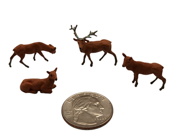 Deer