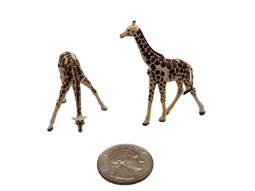 Giraffes
