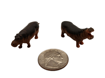 Hippopotamuses
