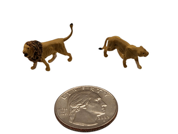Lions