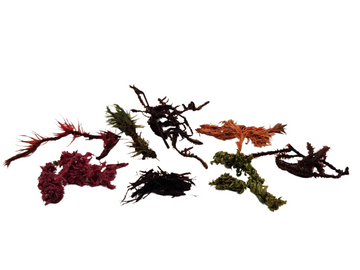 Groundwork Vegetation Enhancement Pack