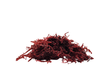 Rangos Rug Amaranth