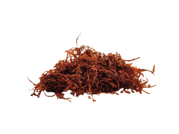 Rangos Rug Amber