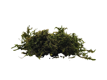 Rangos Rug Rifle Green