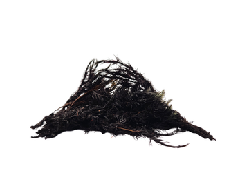 Silk Root Obsidian