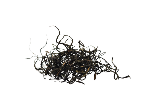 Spool Line Amber