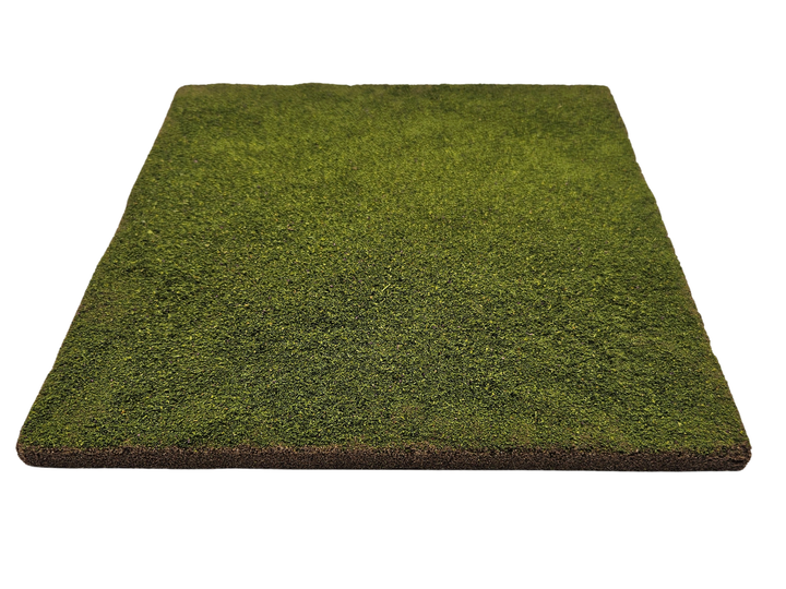 Even Ground