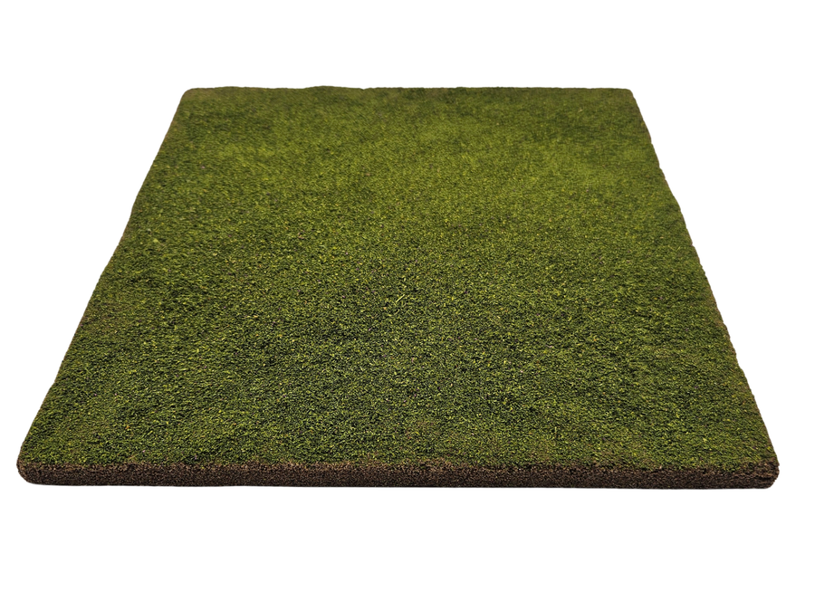 Even Ground