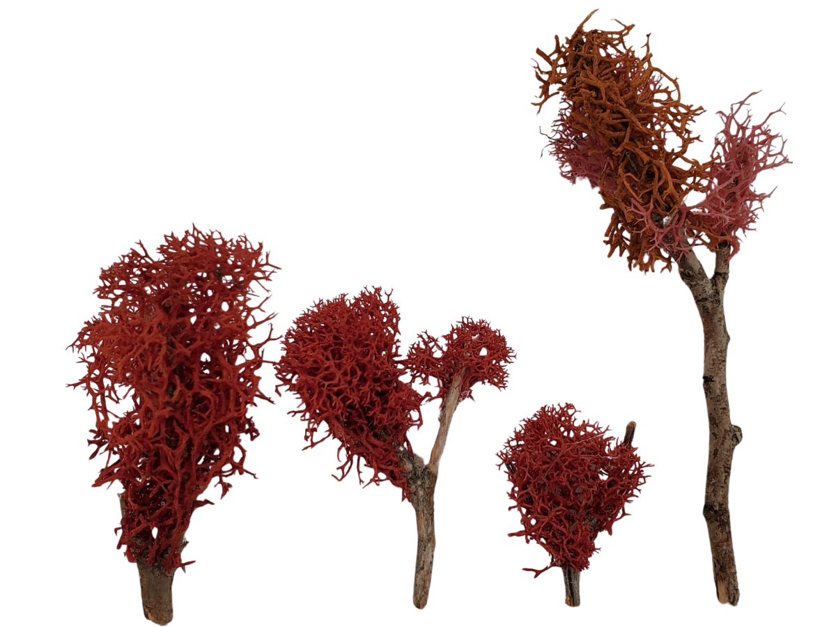 Little Red Trees