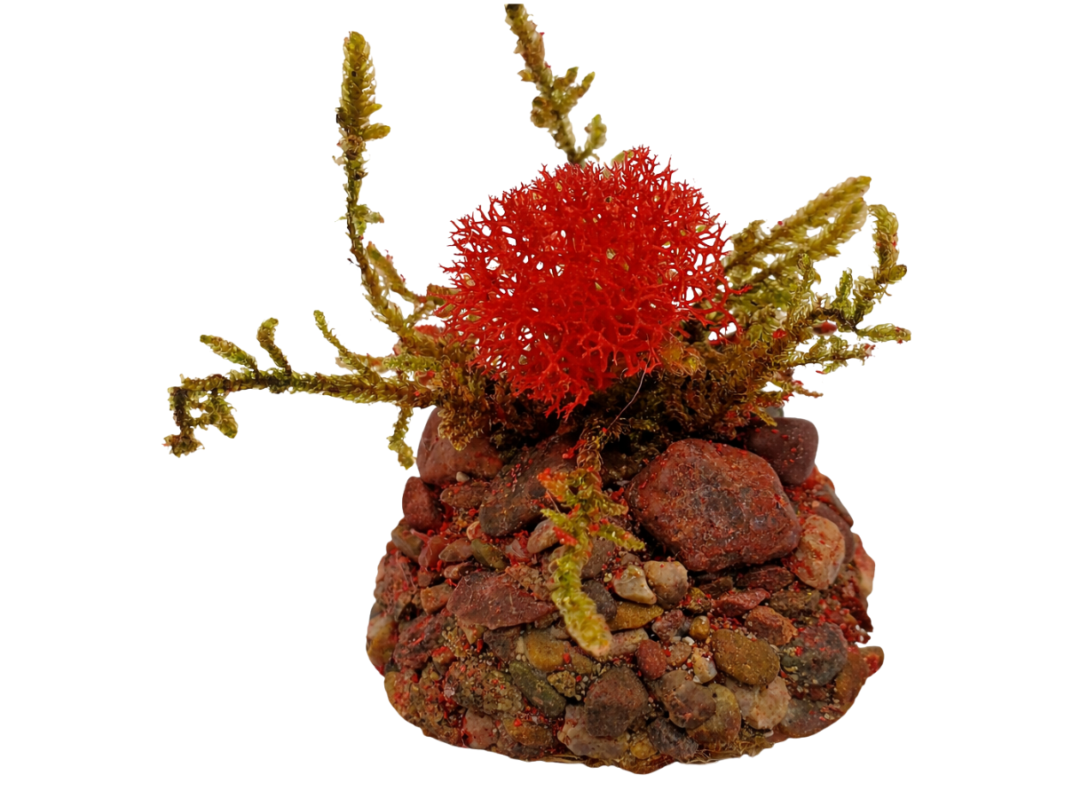 Flower Well