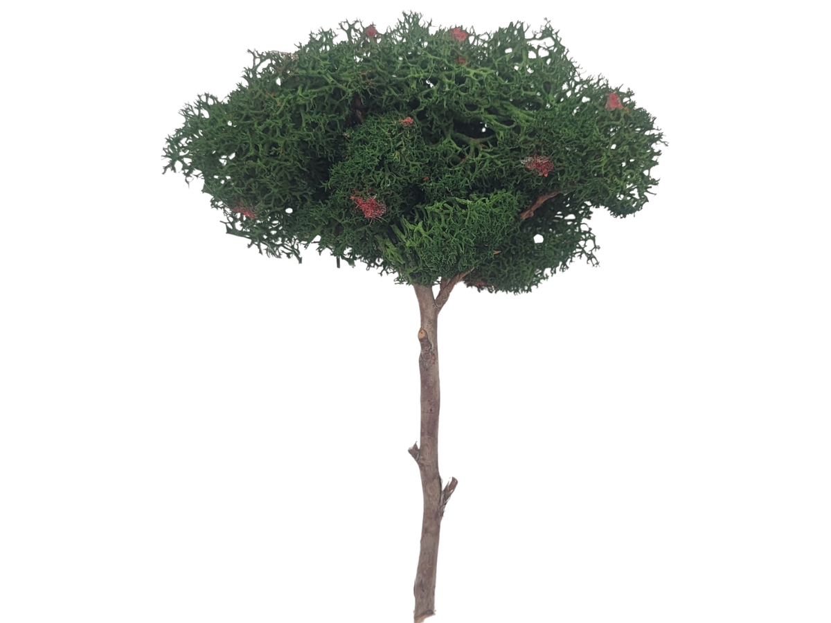 Blossoming Green Tree