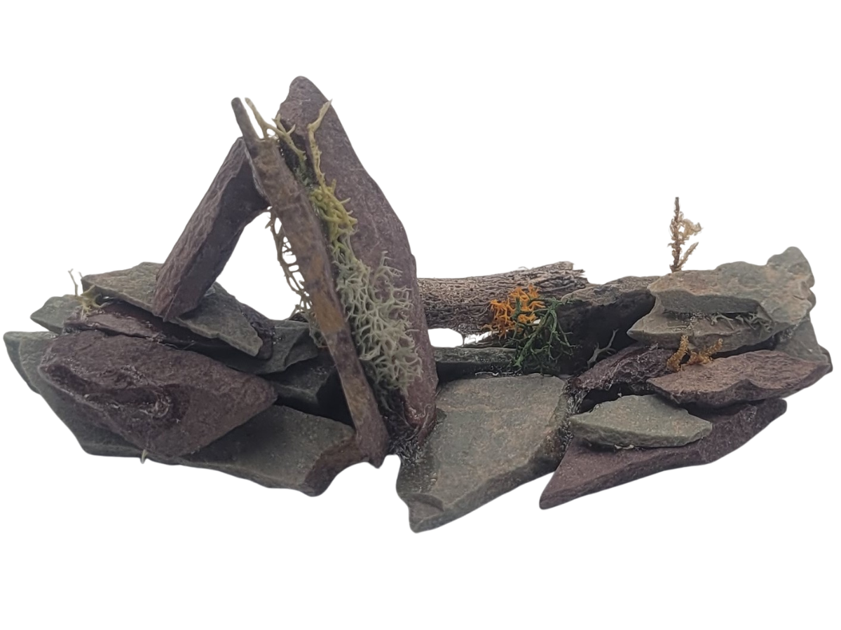 Stone Wall Remnant