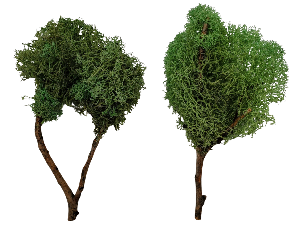 Two Green Trees