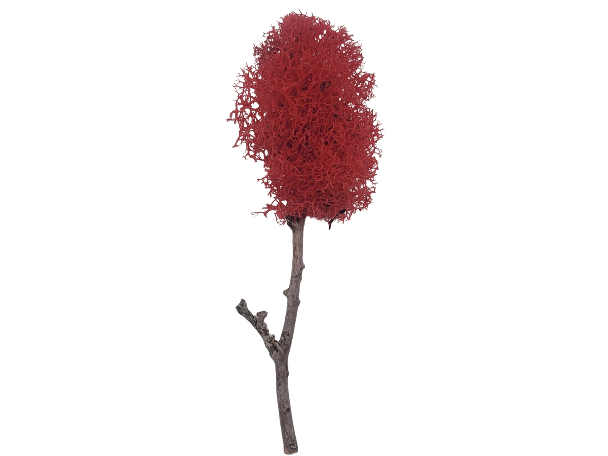 Shape your first tree