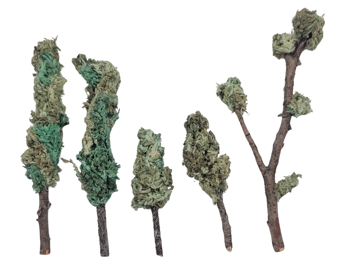 Teal Green Trees