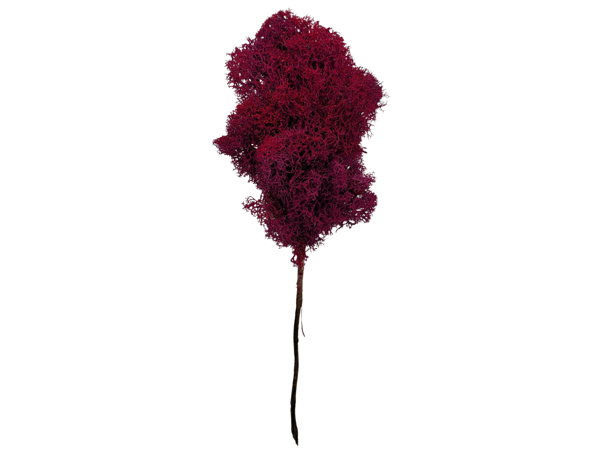 Pink Tree