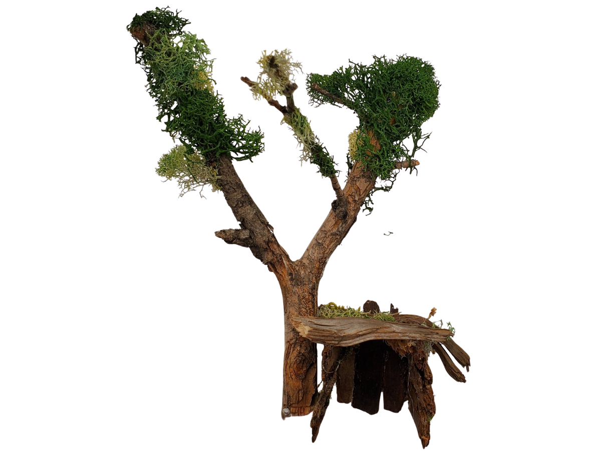 Tree Fort in the Woods