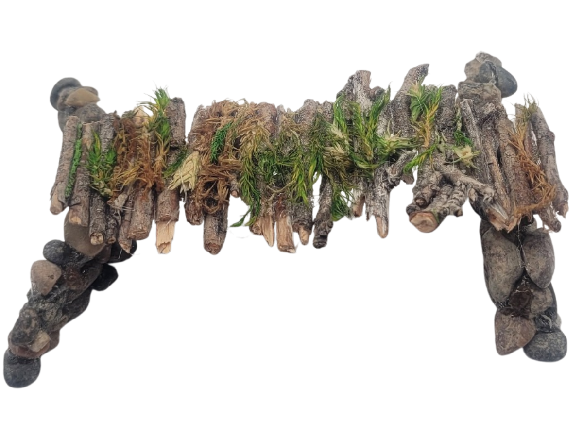 Log Bridge