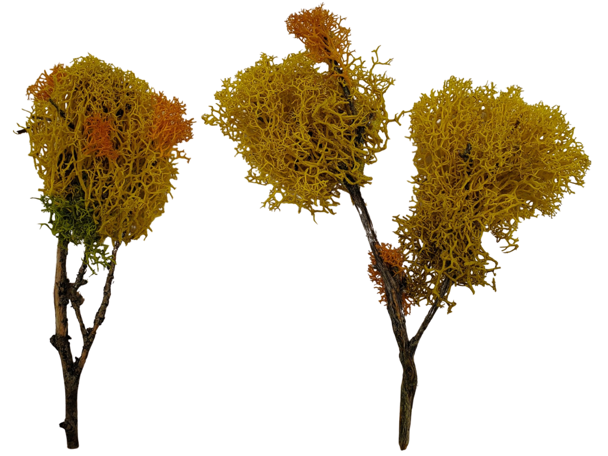 Little Yellow Trees