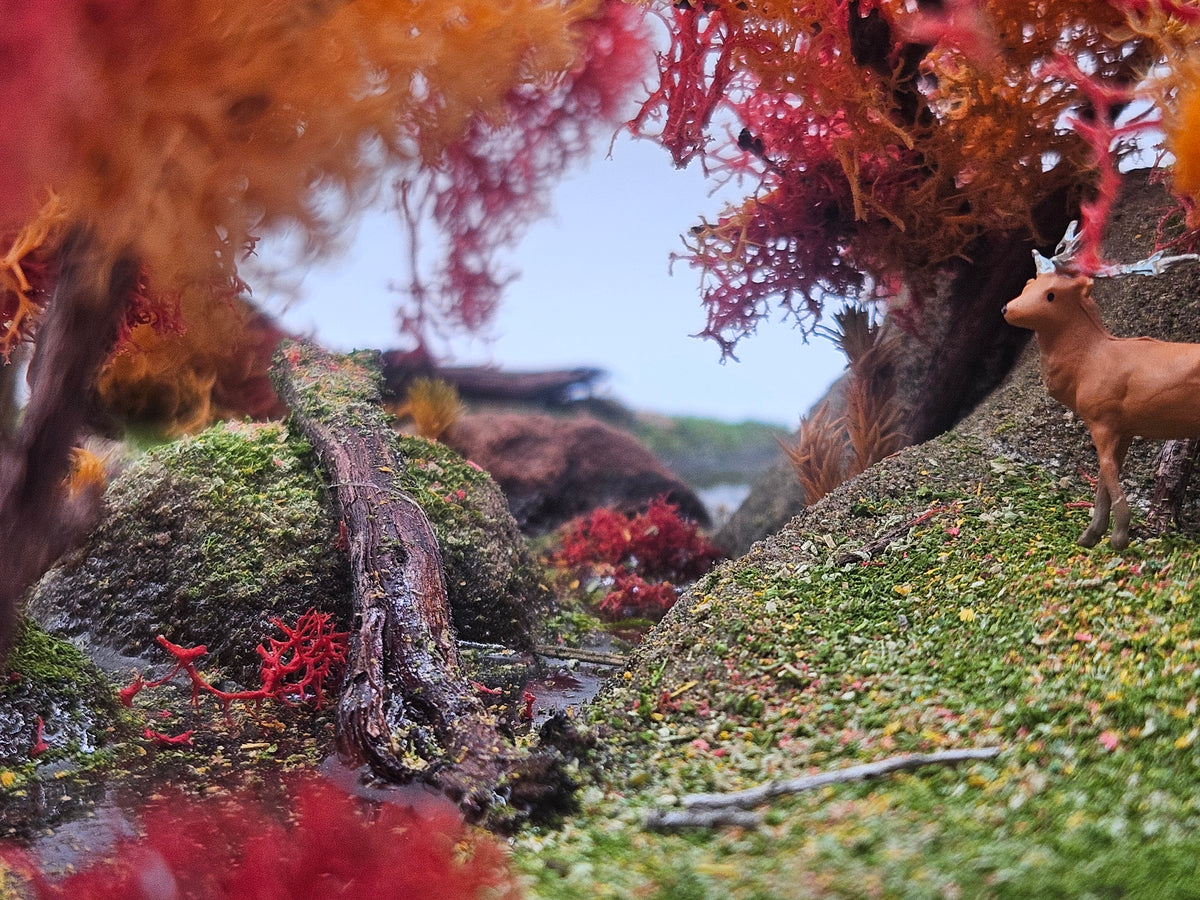 The Autumn Sanctuary