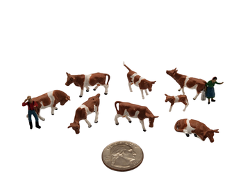 Small Brown and White Cows with Farmers